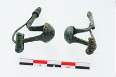 Foto von Bronzepaukenfibel (NHMW-PRAE-026418)